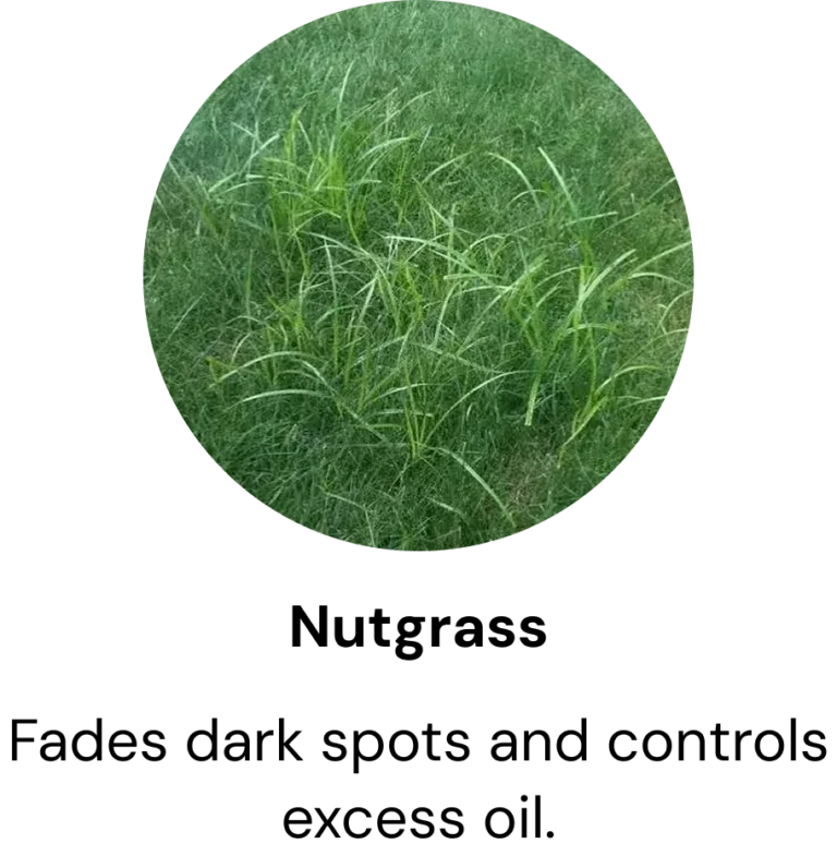 Frame 2121455426