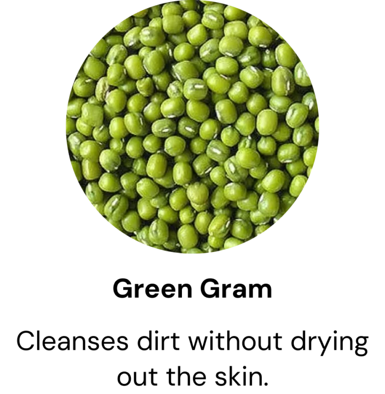Frame 2121455432